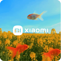 card_xiaomi