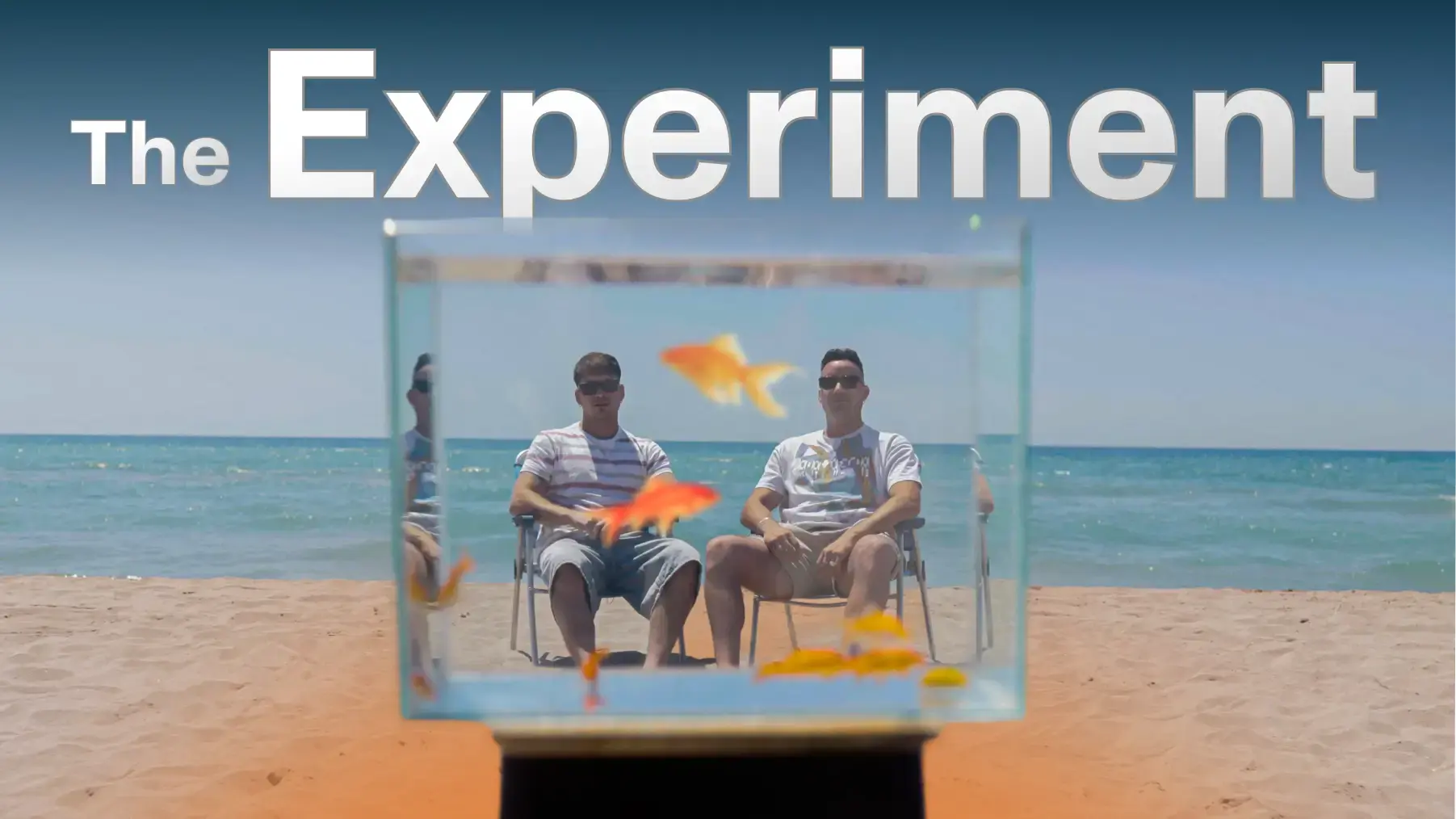 the-experiment